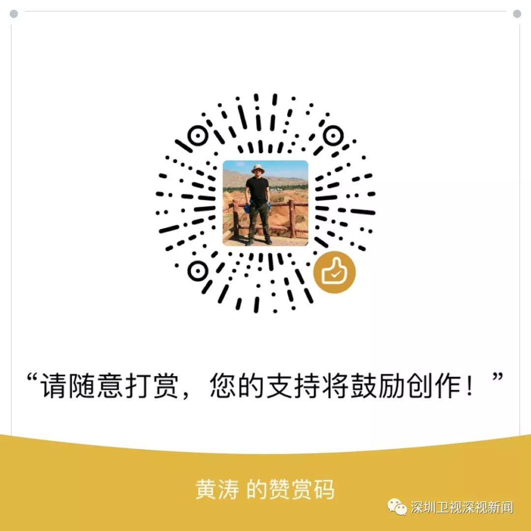 深圳隐形大企业,深圳隐形富豪集团