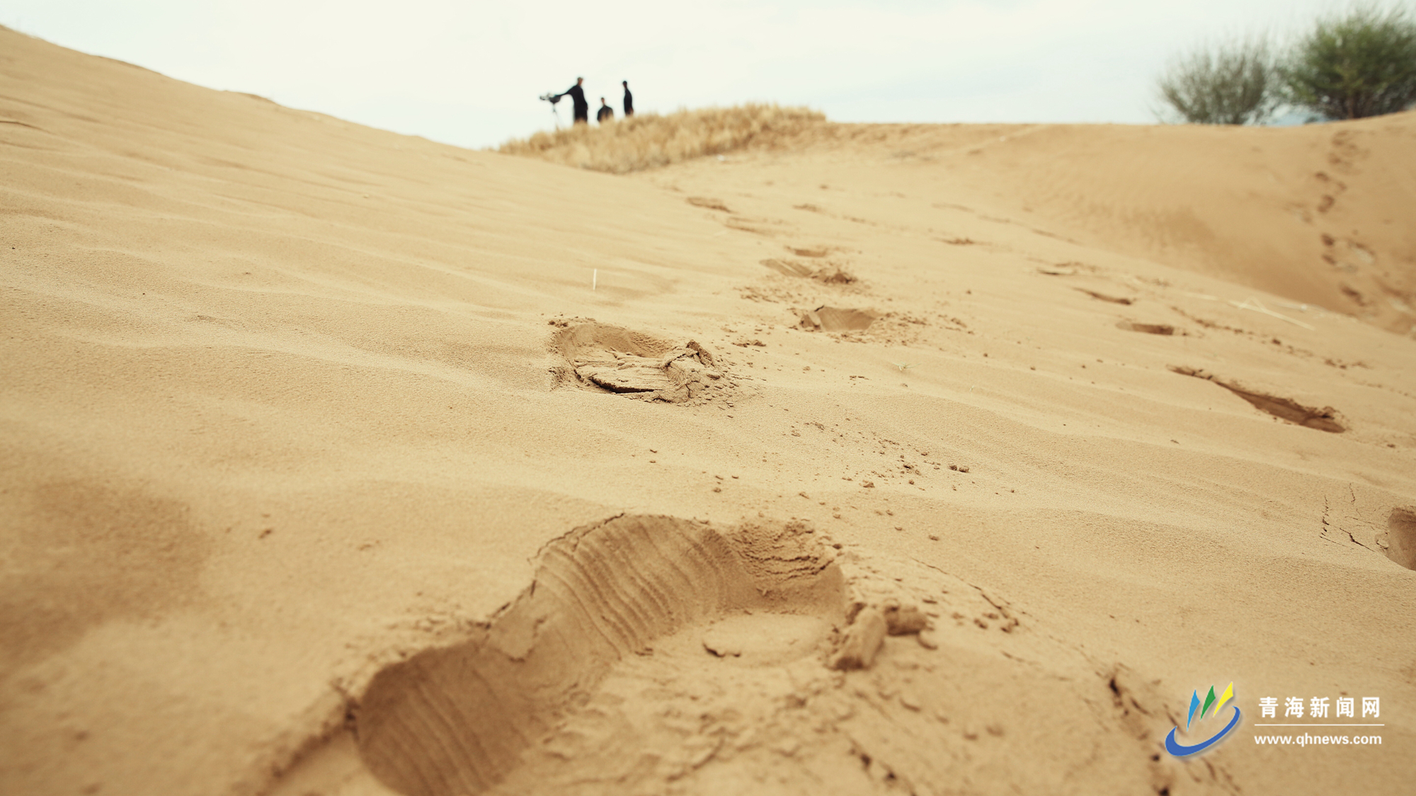 贵南治沙精神,贵南治沙