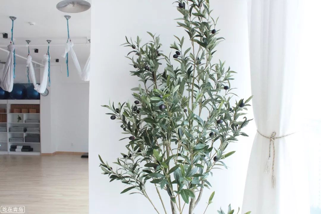 青岛崂山瑜伽馆,崂山区瑜伽馆