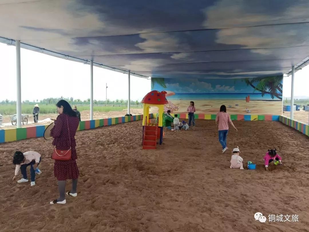 白银市区到大坪花海,去大坪玩攻略