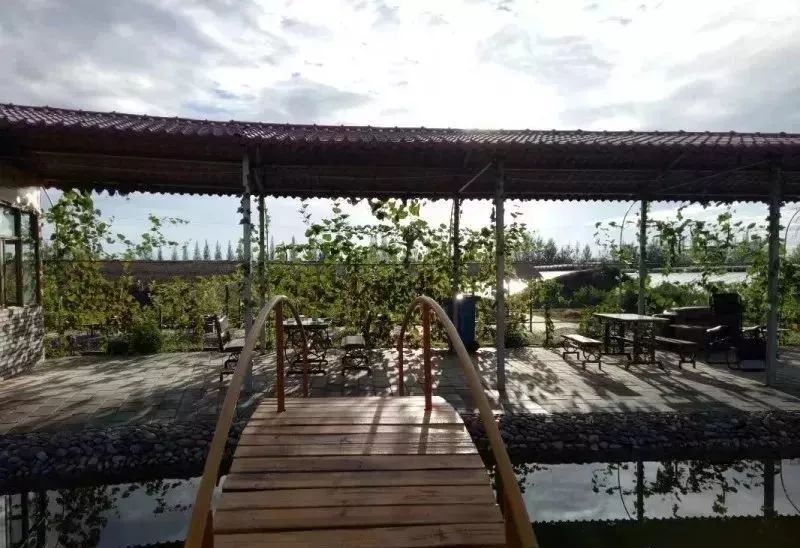 白银市区到大坪花海,去大坪玩攻略