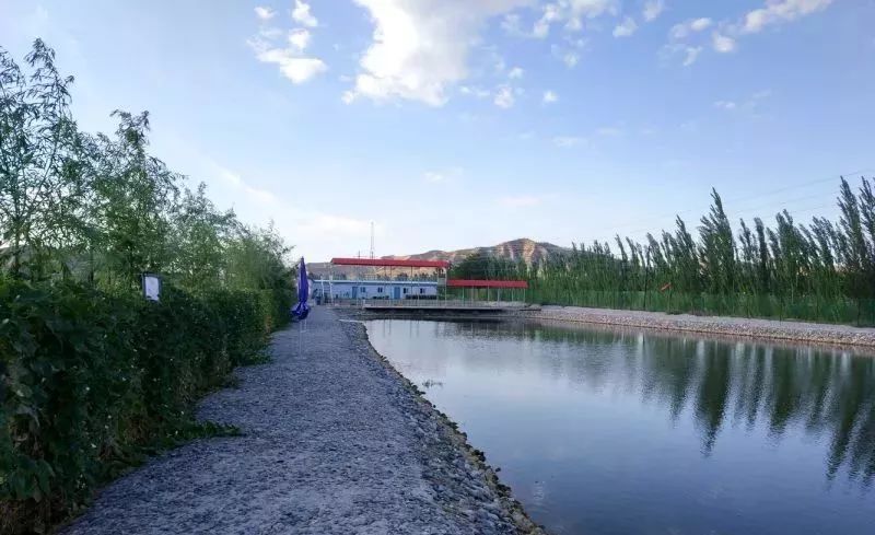 白银市区到大坪花海,去大坪玩攻略