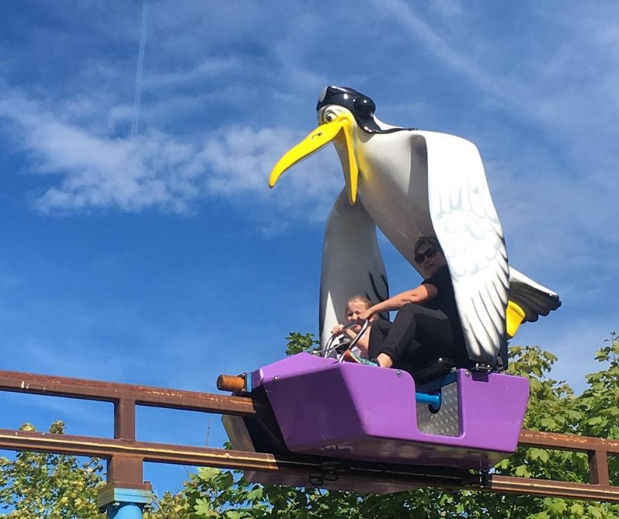 最好玩的主题公园排名前十,全球十大最有趣主题公园