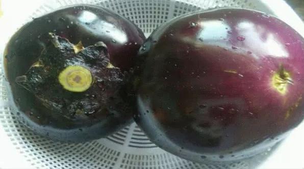 如何挑选茄子的技巧 (茄子怎样挑选)