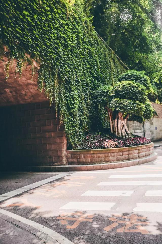 佛山市七星岗闹鬼的真实原因,重庆七星岗闹鬼真相揭秘