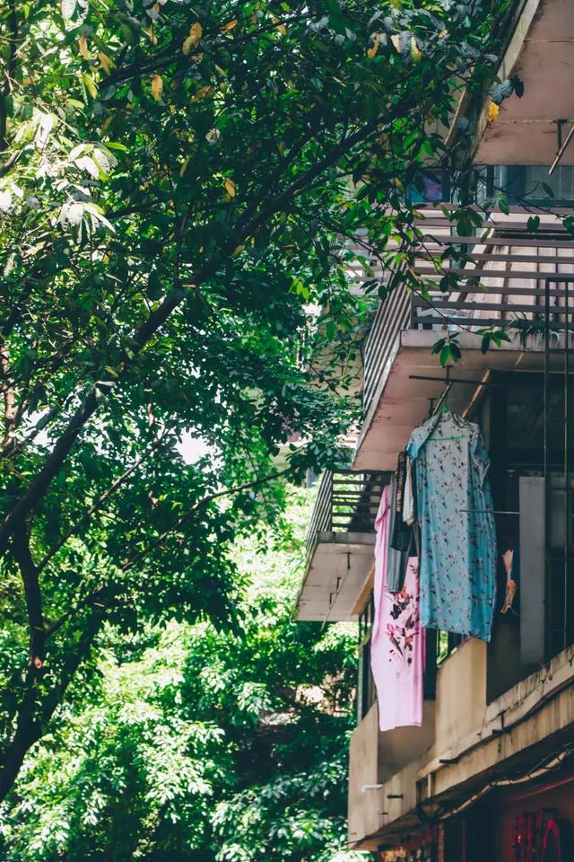 佛山市七星岗闹鬼的真实原因,重庆七星岗闹鬼真相揭秘