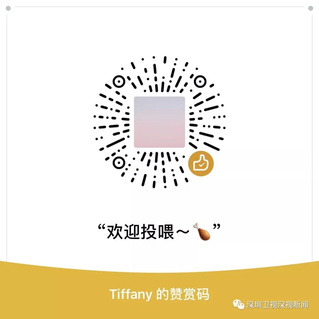 深企中建钢构,中建深装武汉分公司怎么样