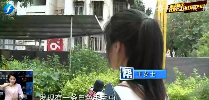 超市买的罐头有虫子举报电话,罐头吃出虫子商家拒绝赔偿1000元