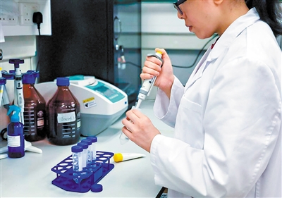 运用绿色荧光蛋白标记技术鲭鳉鱼和斑马鱼胚胎遇毒发光