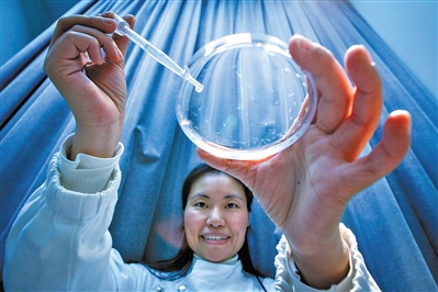 运用绿色荧光蛋白标记技术鲭鳉鱼和斑马鱼胚胎遇毒发光