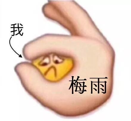 后天就入伏啦!不骗你!这周还有两场雨,江都暂不考虑出梅……