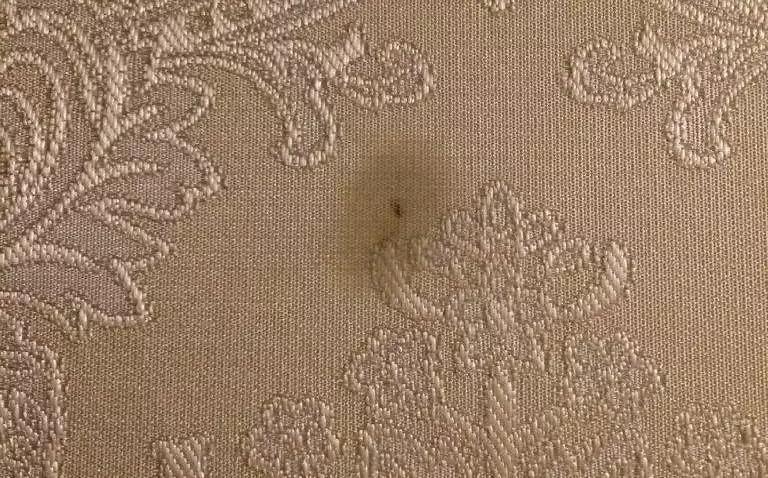 墙布脏了怎么办小妙招,墙布脏了怎么清理妙招