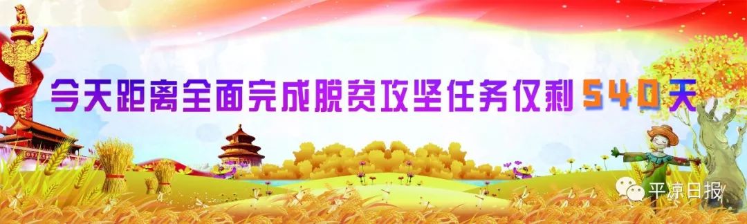 平华一级公路s216,平华一级公路近况