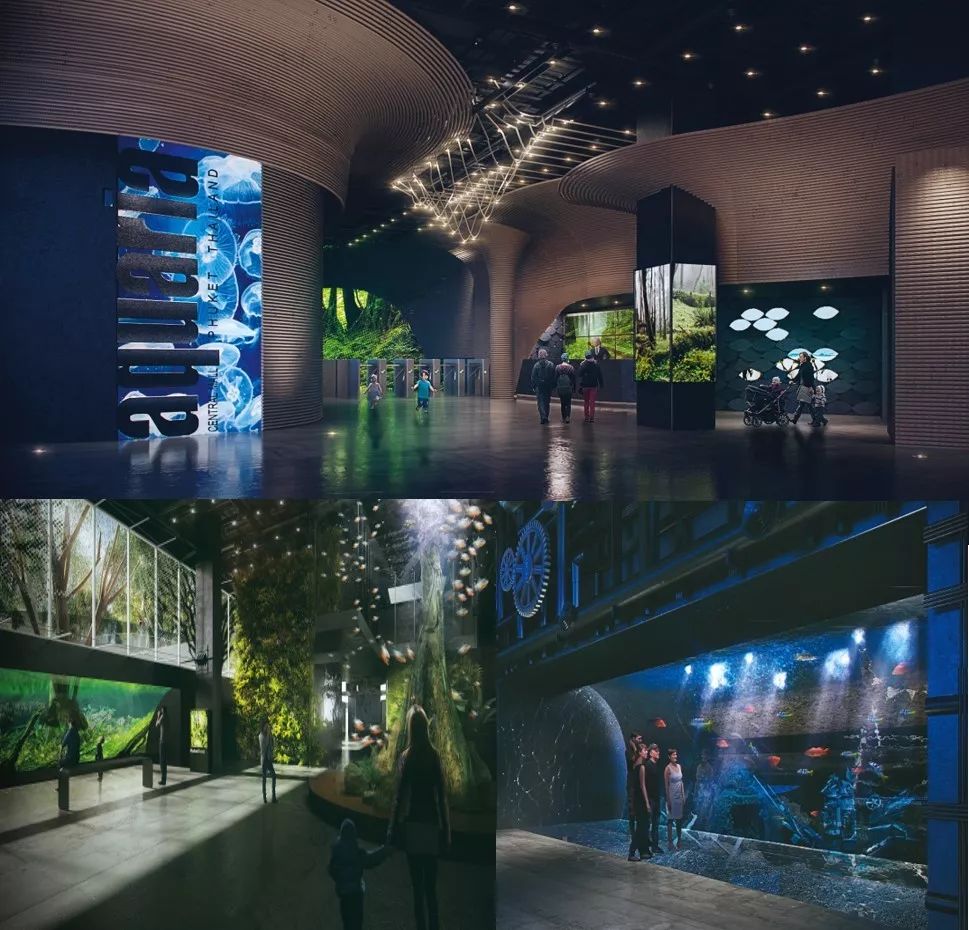 普吉岛旅游自由行推荐哪个酒店,普吉岛值得打卡酒店