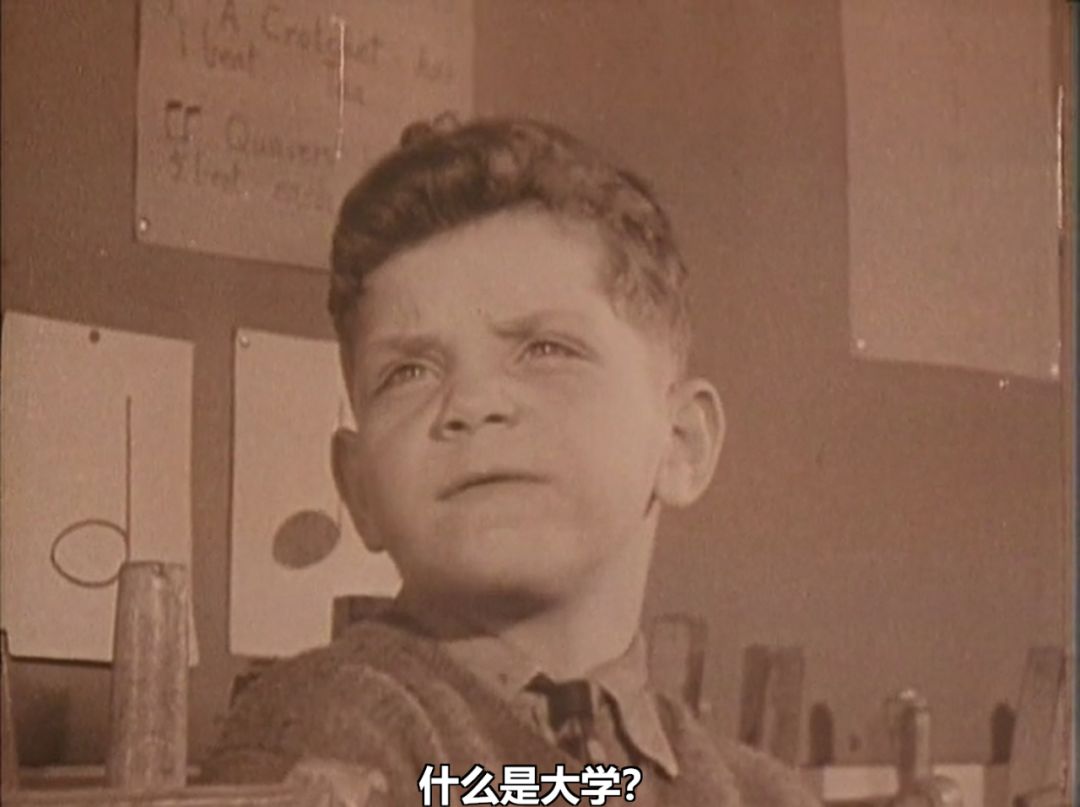 人性bbc纪录片日本,bbc史诗级纪录大片