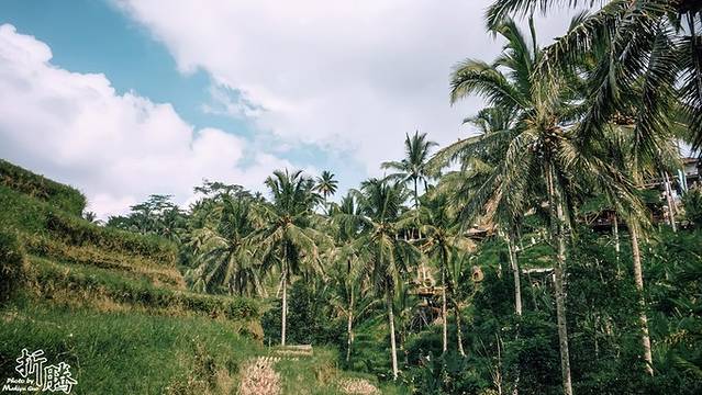 南纬八度.又见BALI