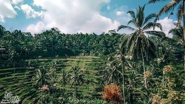 南纬八度.又见BALI
