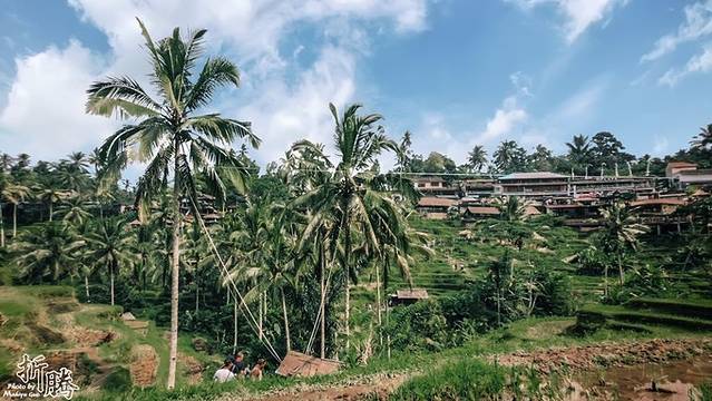 南纬八度.又见BALI