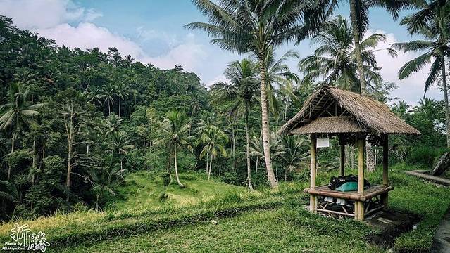 南纬八度.又见BALI