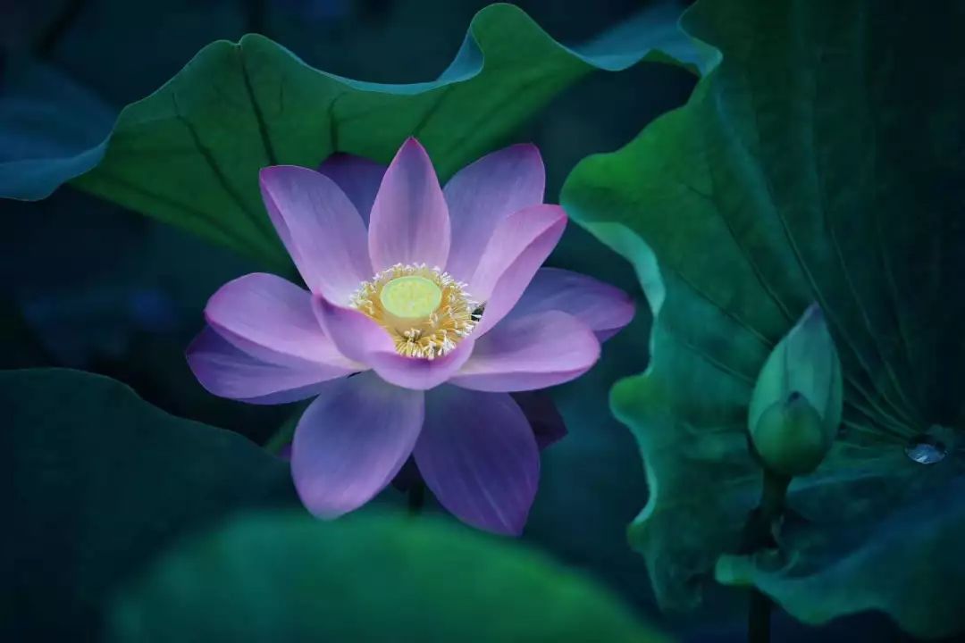 交通事故警情联合处置机制,交通事故处理联动新模式