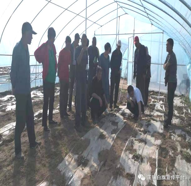 助推打赢脱贫攻坚战,决胜全面小康决战脱贫攻坚战