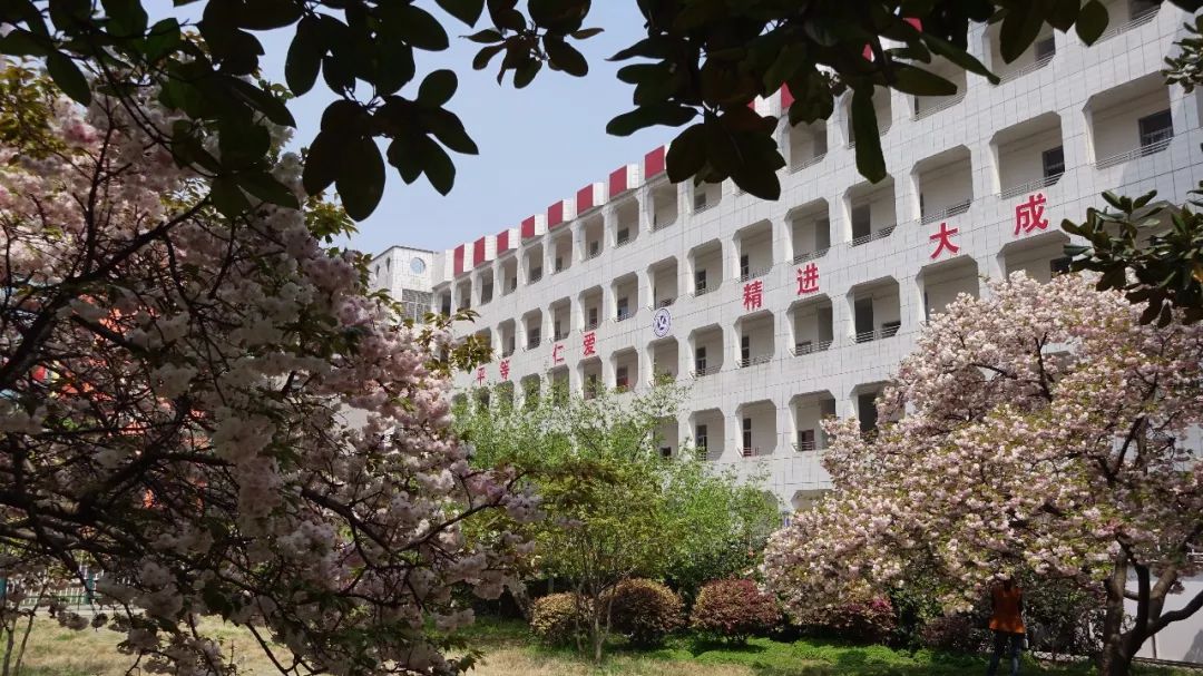 喜讯传来，这所学校厉害了！四中五中录取率名列全市前茅