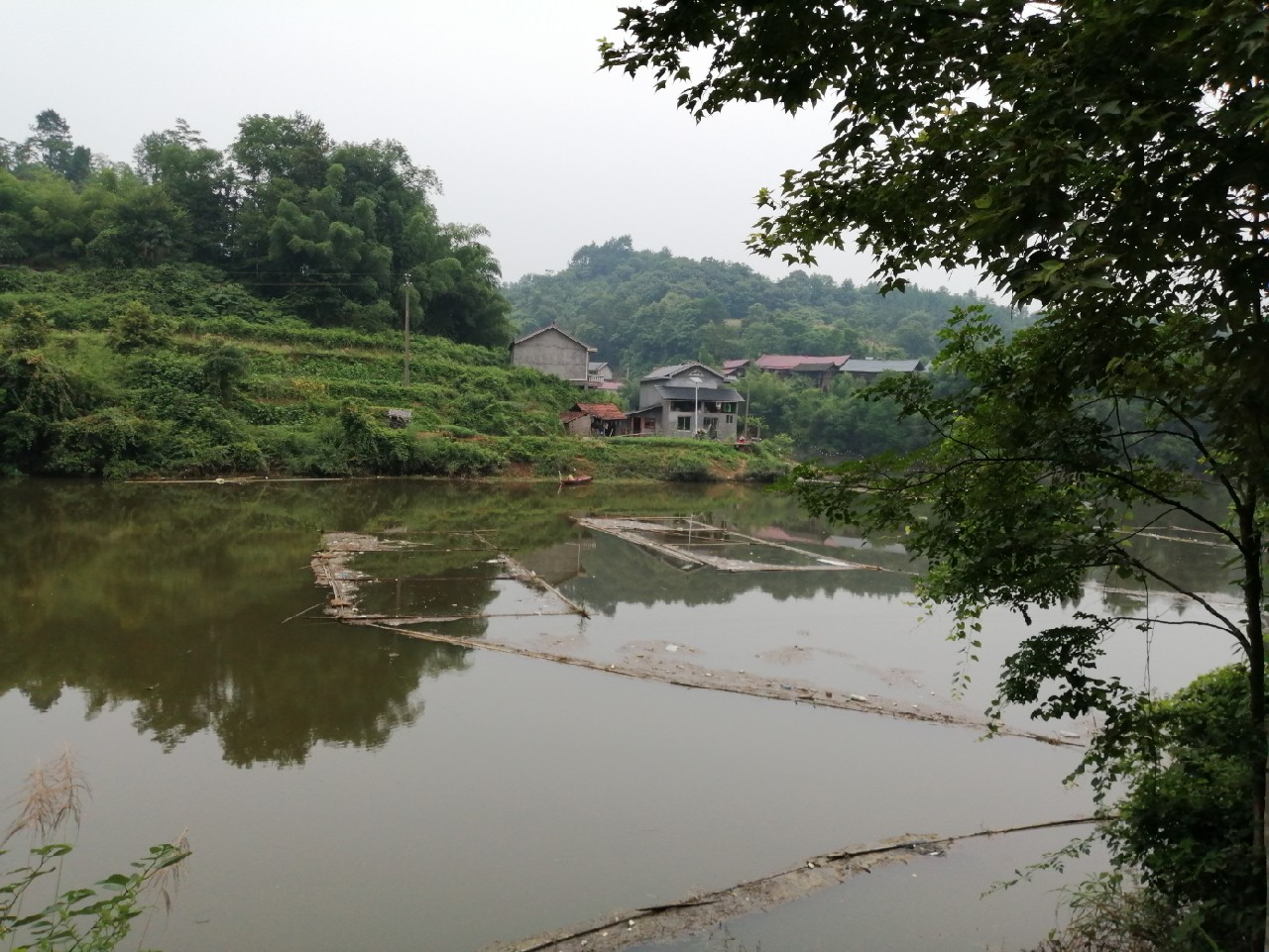 海竿篇：吟龙剑岀鞘擒鲢显风骚