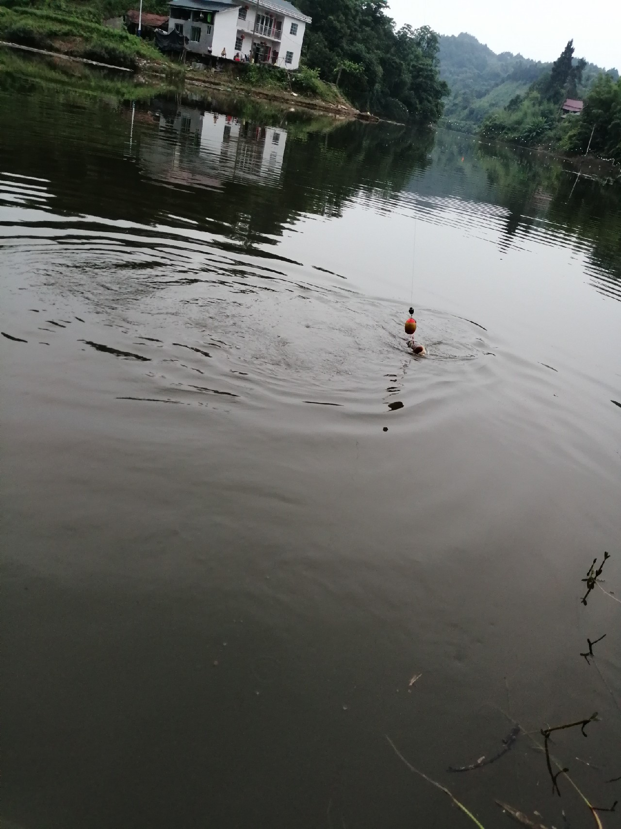 海竿篇：吟龙剑岀鞘擒鲢显风骚