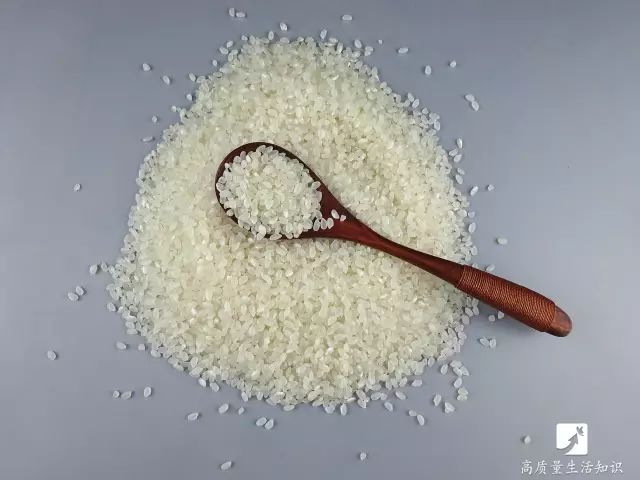 大米生虫子怎么快速驱虫妙招,大米生虫子怎么快速驱虫