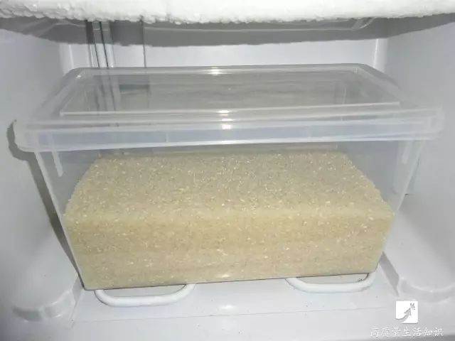 大米生虫子怎么快速驱虫妙招,大米生虫子怎么快速驱虫