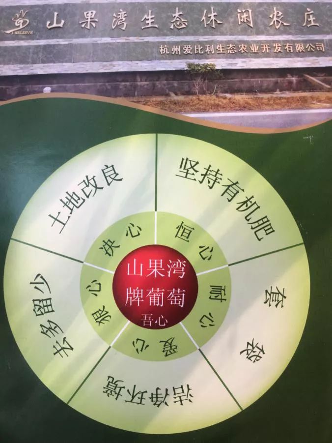 连阿里巴巴都点名！拿奖拿到手软的“葡萄王”来了~入园采摘，尽享千元农家菜