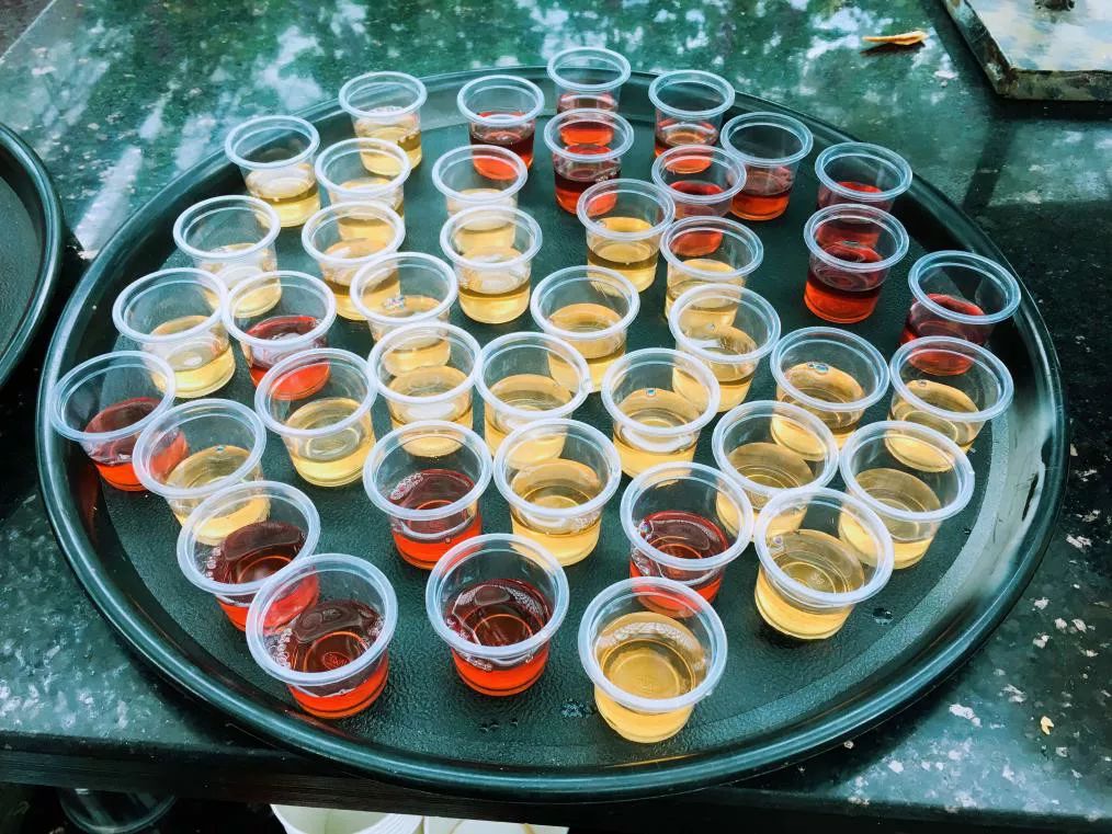 连阿里巴巴都点名！拿奖拿到手软的“葡萄王”来了~入园采摘，尽享千元农家菜