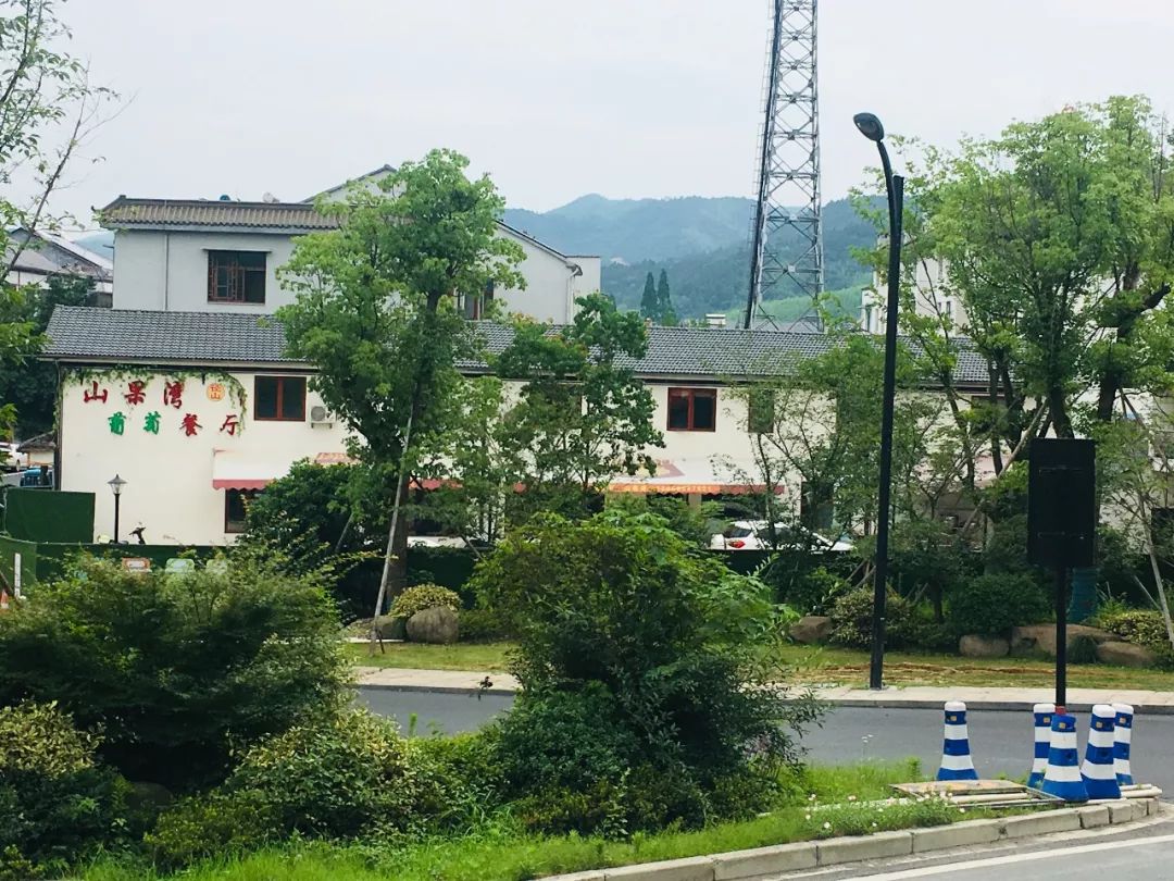 连阿里巴巴都点名！拿奖拿到手软的“葡萄王”来了~入园采摘，尽享千元农家菜