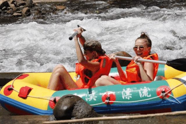 连阿里巴巴都点名！拿奖拿到手软的“葡萄王”来了~入园采摘，尽享千元农家菜