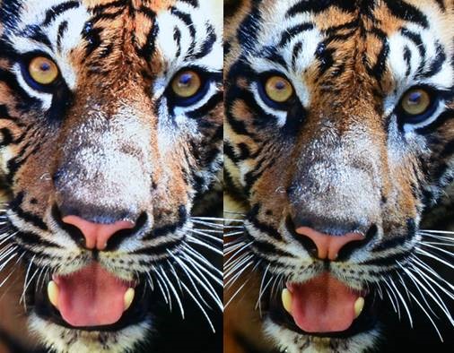 索尼电视x90l深度评测,色准评测