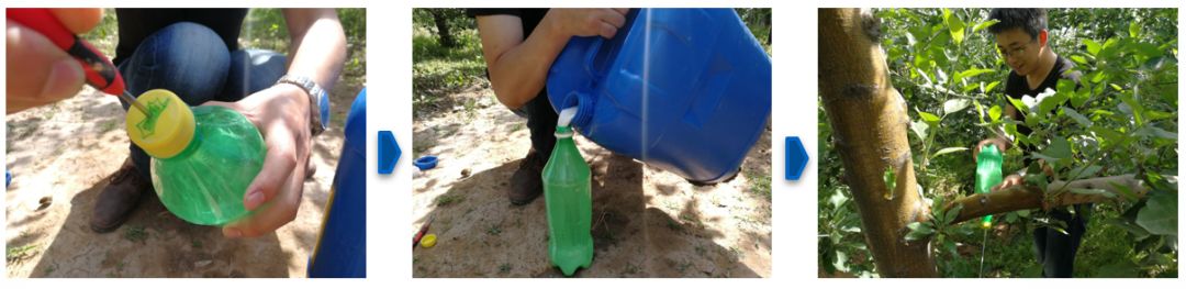 腐烂病最佳防治方法,庄稼枯萎病最佳防治方法