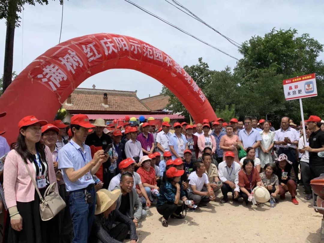 腐烂病最佳防治方法,庄稼枯萎病最佳防治方法