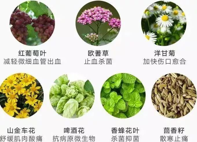 肩颈按摩马杀鸡,马杀鸡肩颈按摩