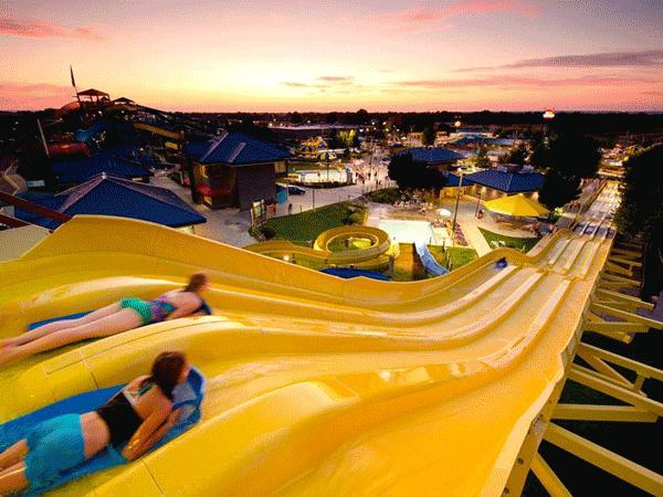 比“童言夫妇”更火爆的,可能只有鹿泉的TA们了!