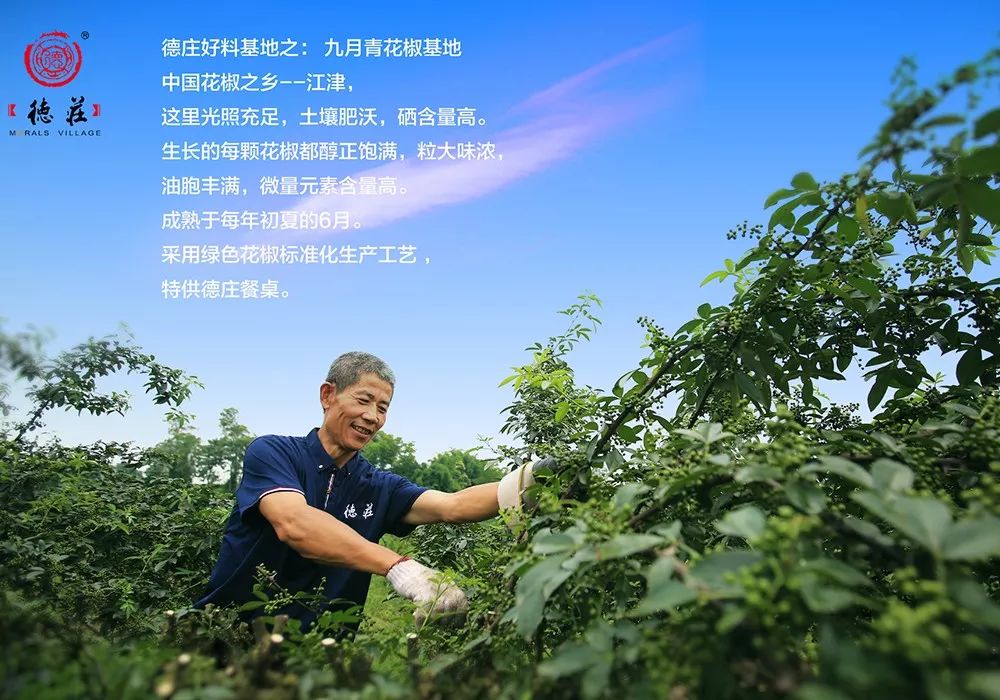 美国火锅店开店,美国新店