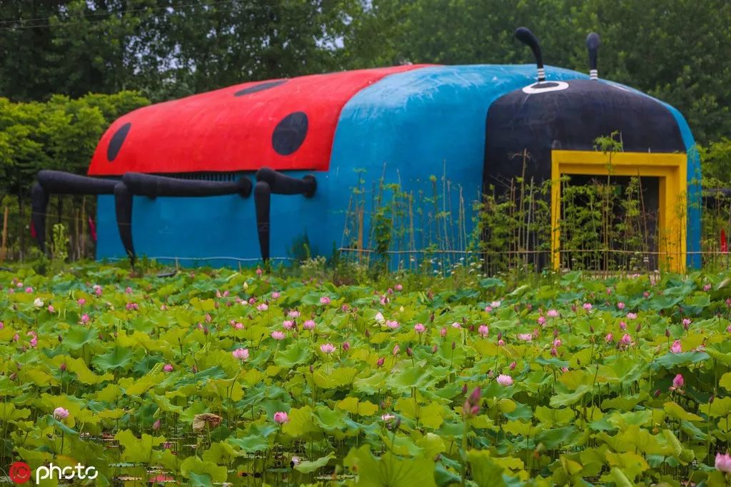 4400万！湖北拟真金白银支持61个旅游项目，你家乡有几个？