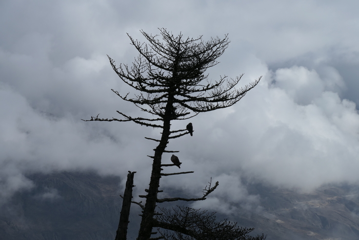 松下fz1000价格,松下fz10002gk