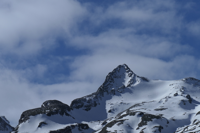松下fz1000价格,松下fz10002gk