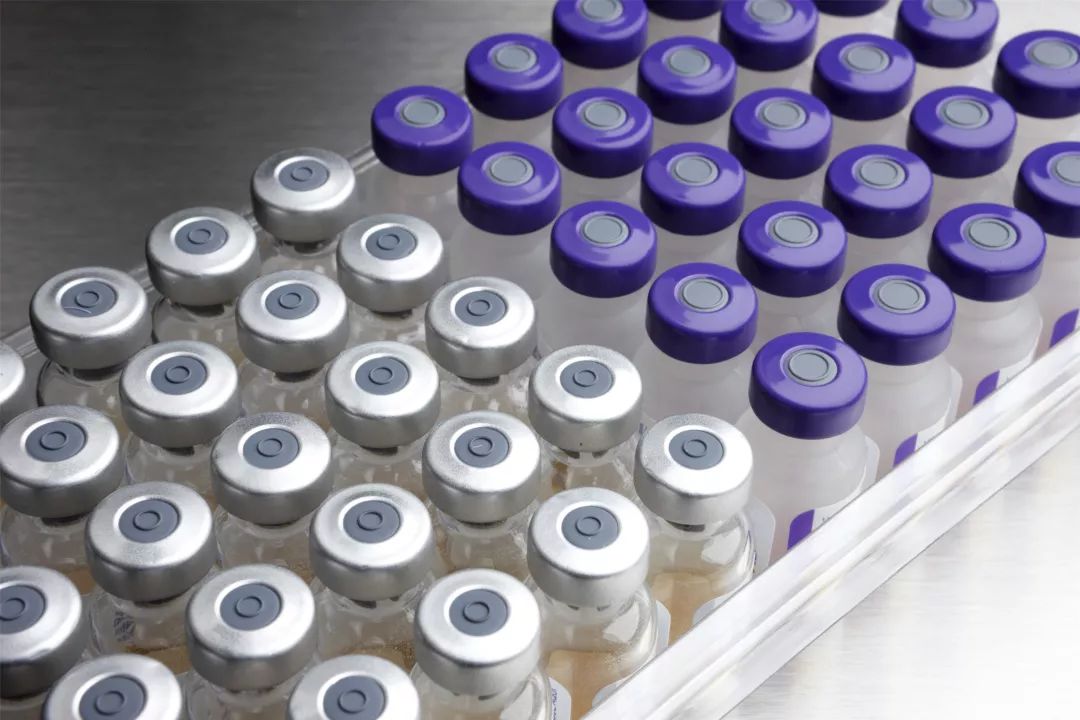 hpv宫颈癌疫苗科普ppt,科普hpv预防图片