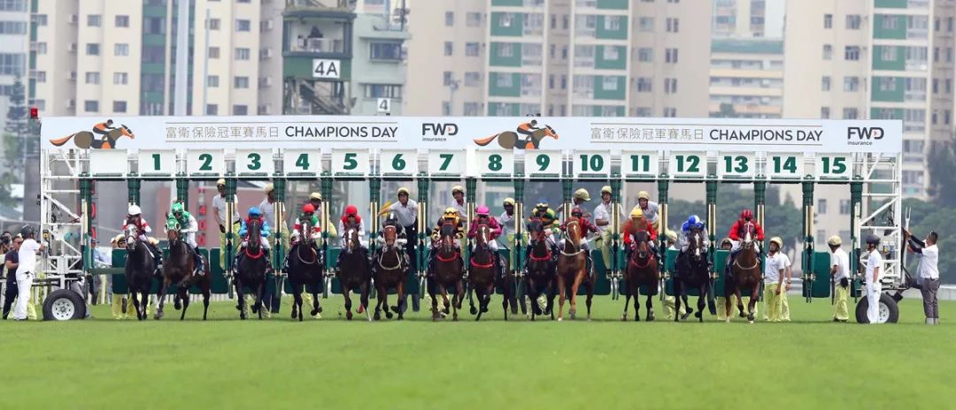 全年88场赛事，总奖金13亿港元，香港马会公布新马季赛事奖金及费用
