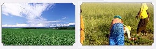 好物|一直忍着没公布！这个用一次就变漂亮的东西！链接拿去