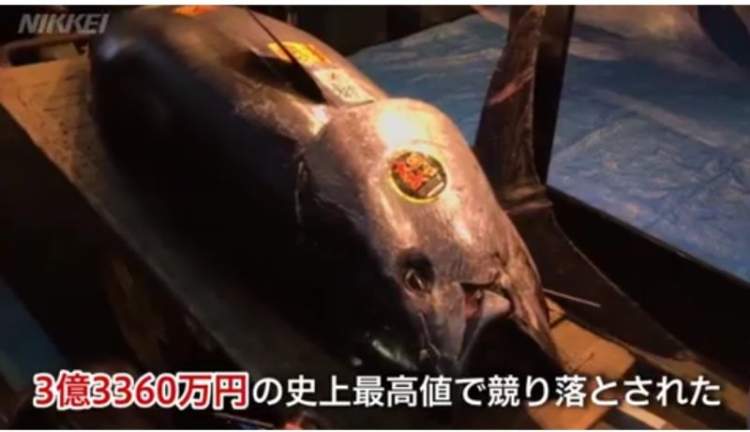 日本最贵的葡萄是什么葡萄,日本水果葡萄多少钱一串