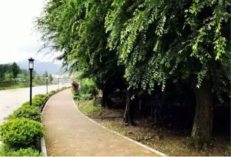 可以大快朵颐的野生溪鱼,矿物质养生的古温泉!杭州这个村还美成一幅画…