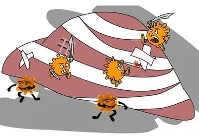 病毒性肝炎的历史,病毒性肝炎肝硬化肝癌的发展过程