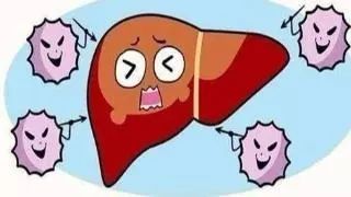 病毒性肝炎的历史,病毒性肝炎肝硬化肝癌的发展过程